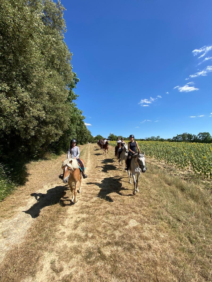 sejour Tarn  photo 2