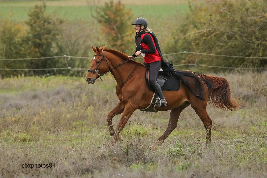 sejour Tarn  photo 3