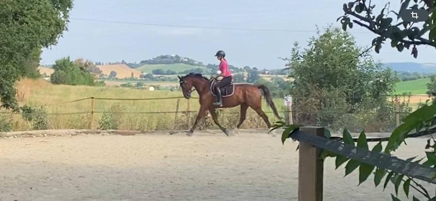 sejour Tarn  photo 5