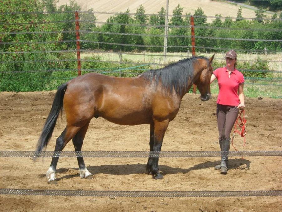 sejour Tarn  photo 6