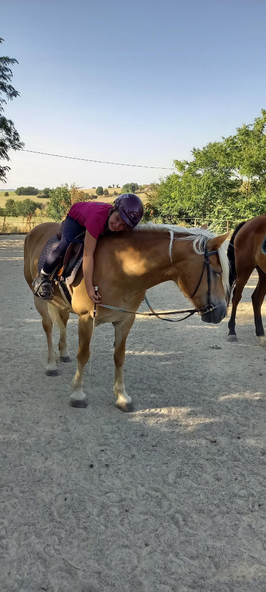 sejour Tarn  photo 2