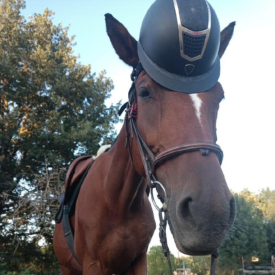 sejour Tarn  photo 3