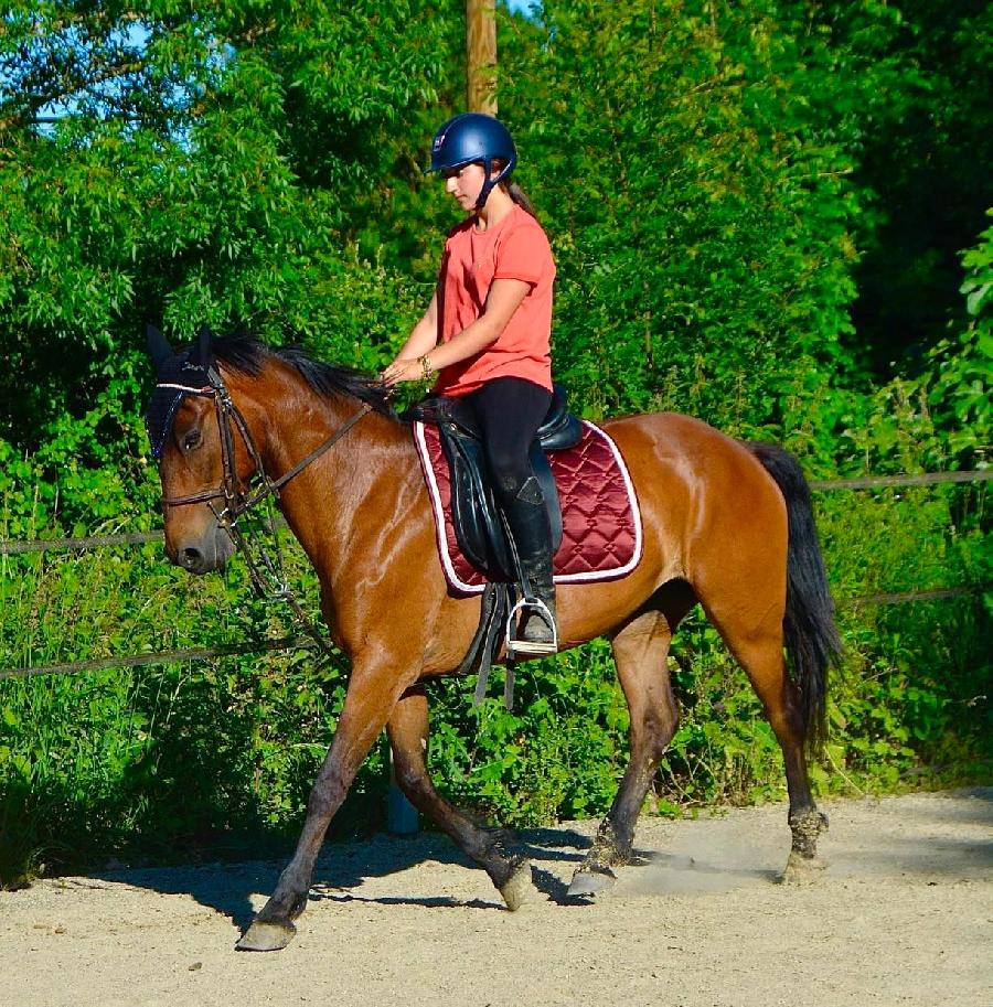 sejour Tarn  photo 5