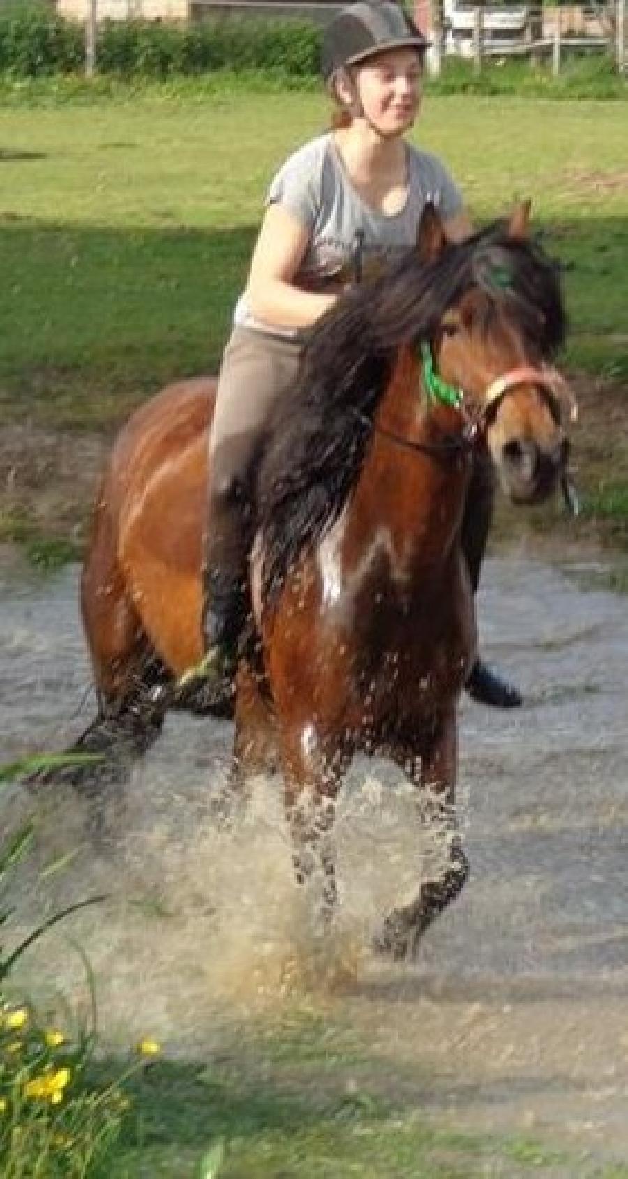 sejour Allier Montagne Bourbonnaise photo 2