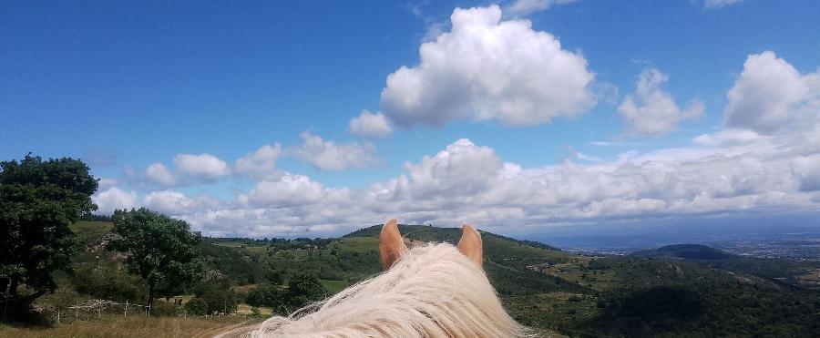 rando Balade  cheval Loire