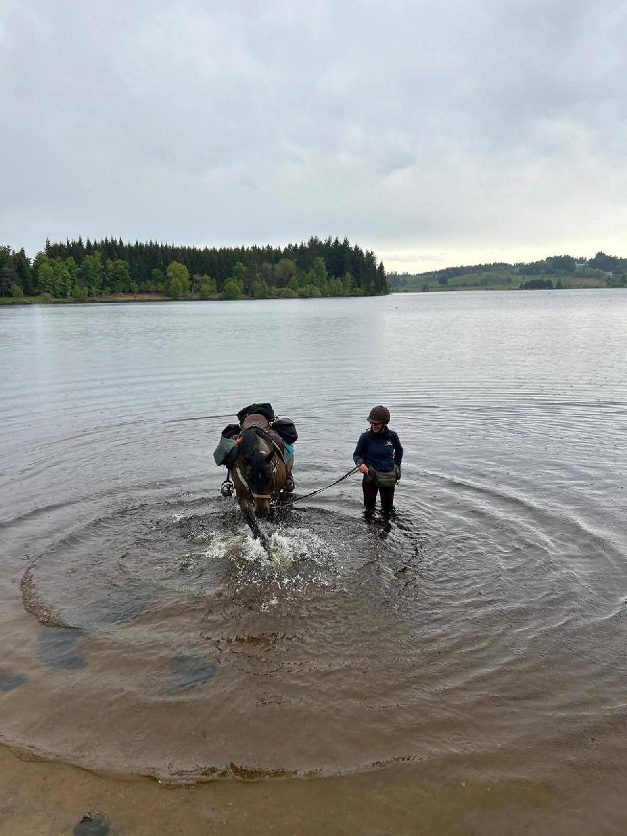 sejour Ard�che PNR des Monts d'Ard�che photo 2