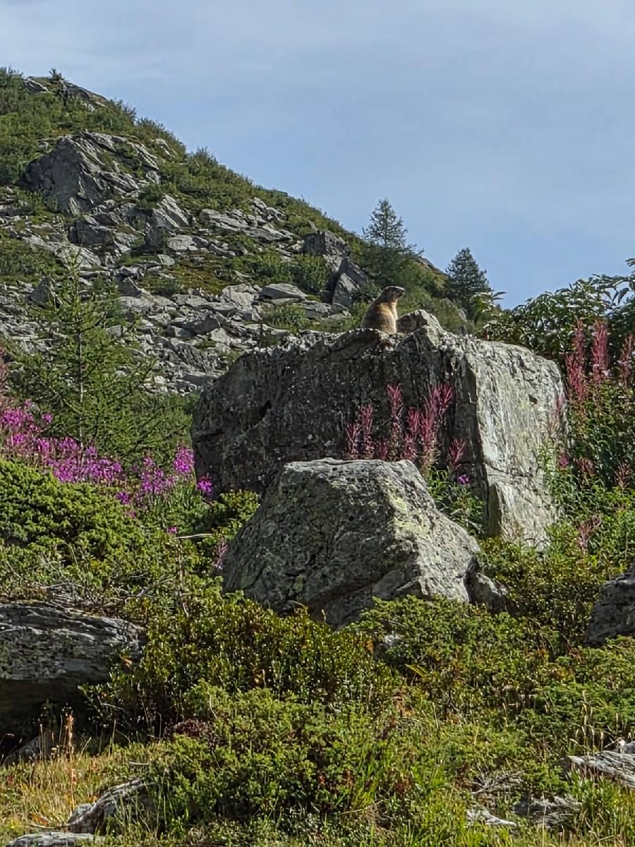 sejour Savoie  photo 5
