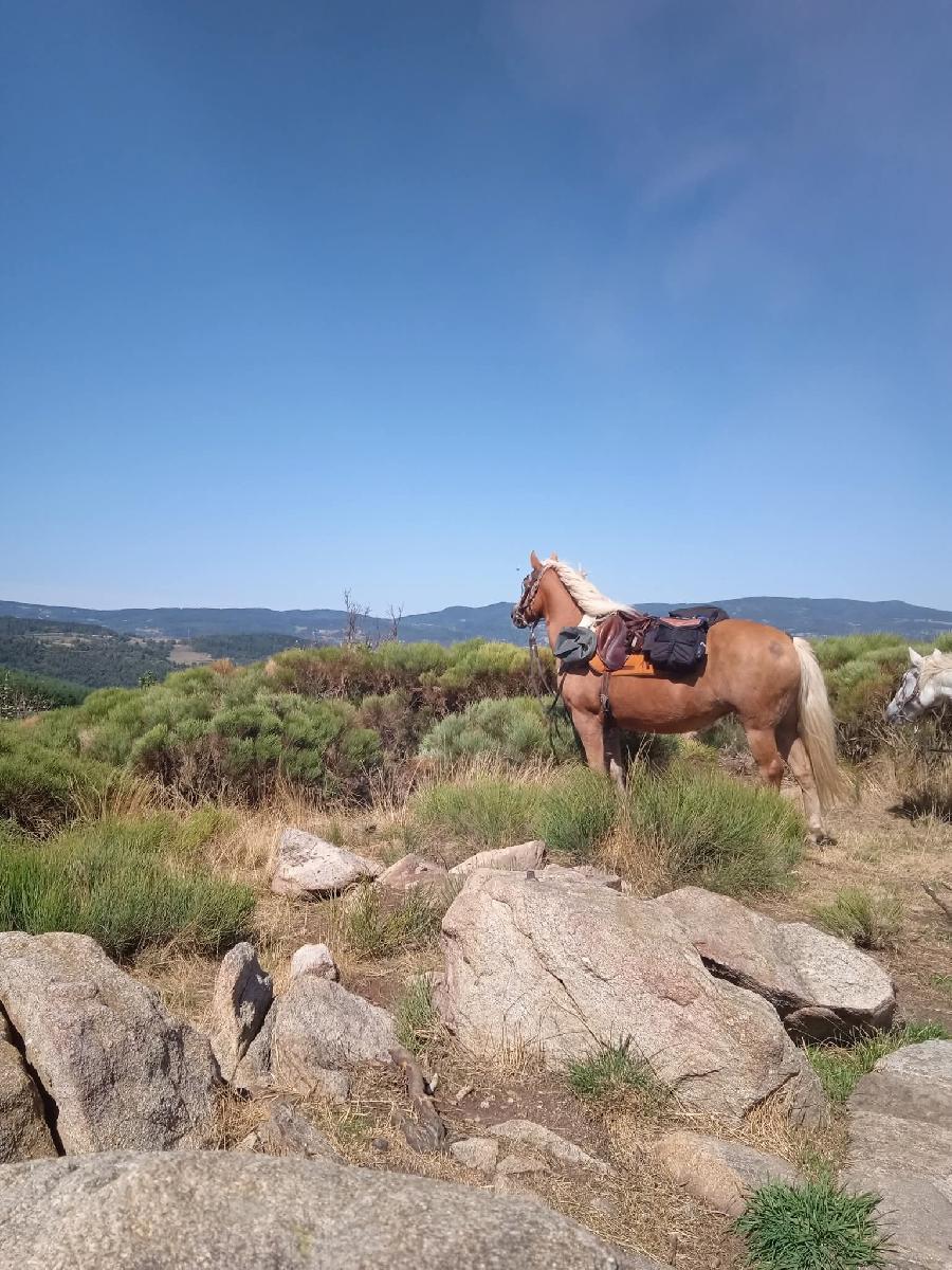 sejour Loire PNR du Pilat photo 4