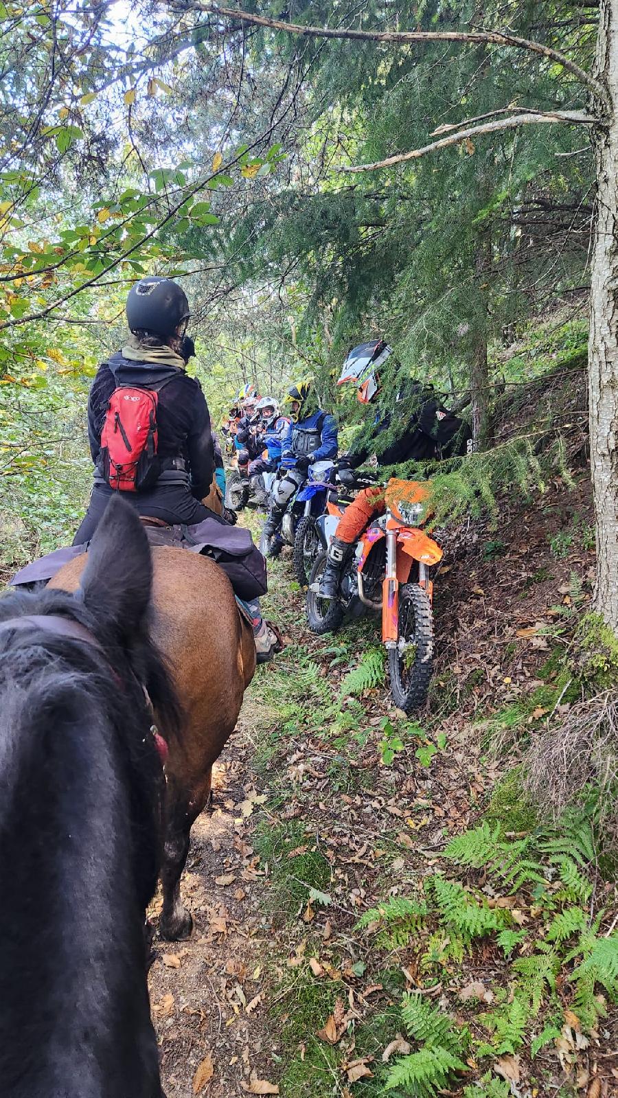 sejour Loire PNR du Pilat photo 6