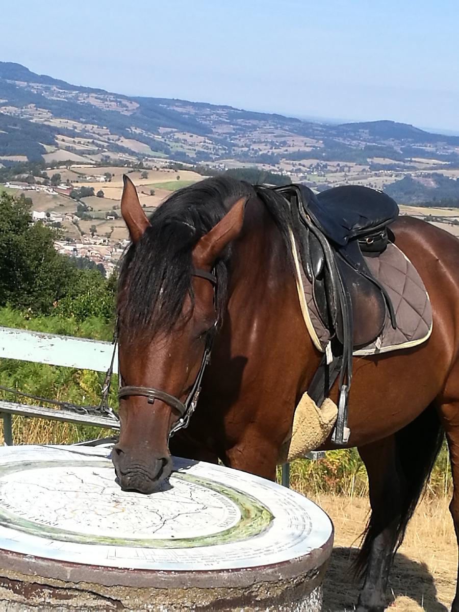 sejour Rhne Beaujolais photo 3