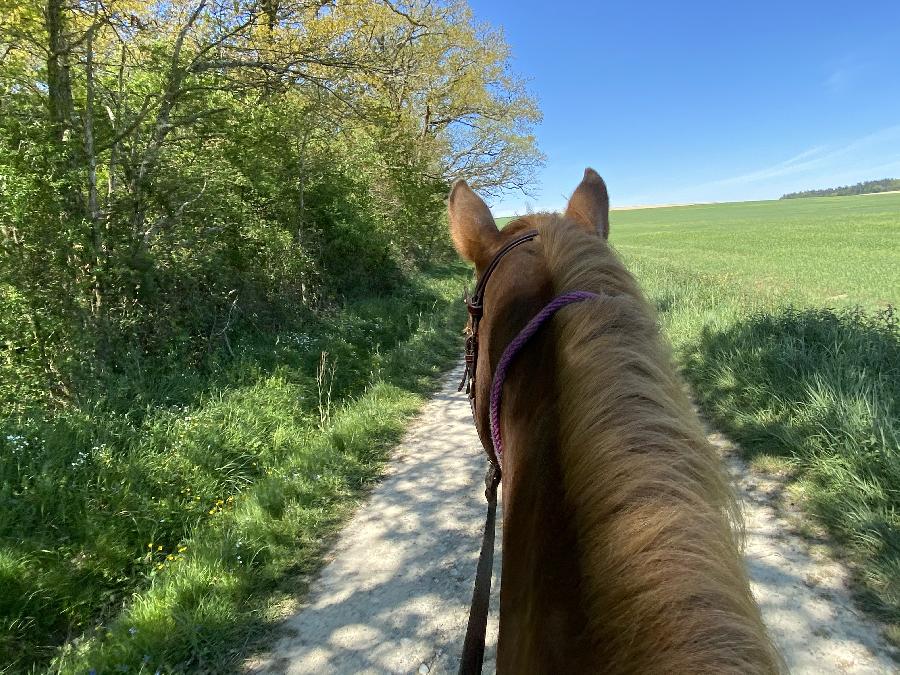 sejour Haute-Garonne  photo 4