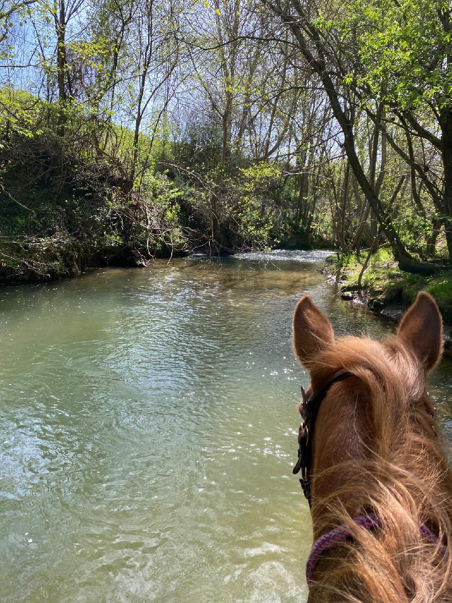 sejour Haute-Garonne 