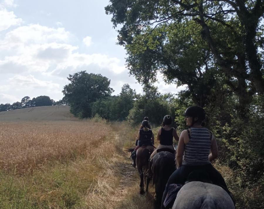 sejour Haute-Garonne  photo 2