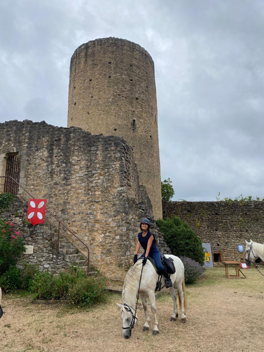 Sjour questre Haute-Garonne 