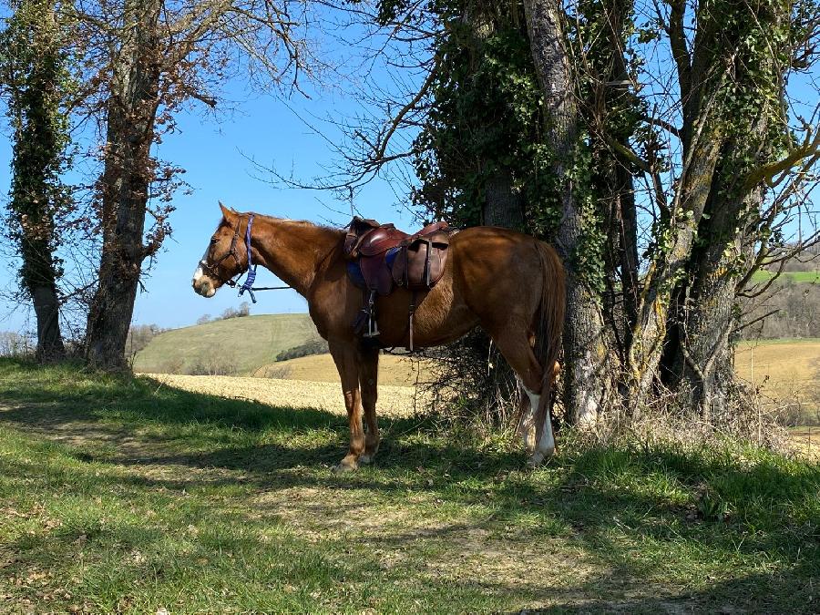 sejour Haute-Garonne 