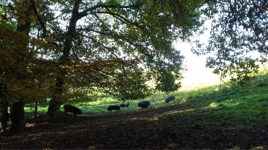 sejour Gers Gascogne