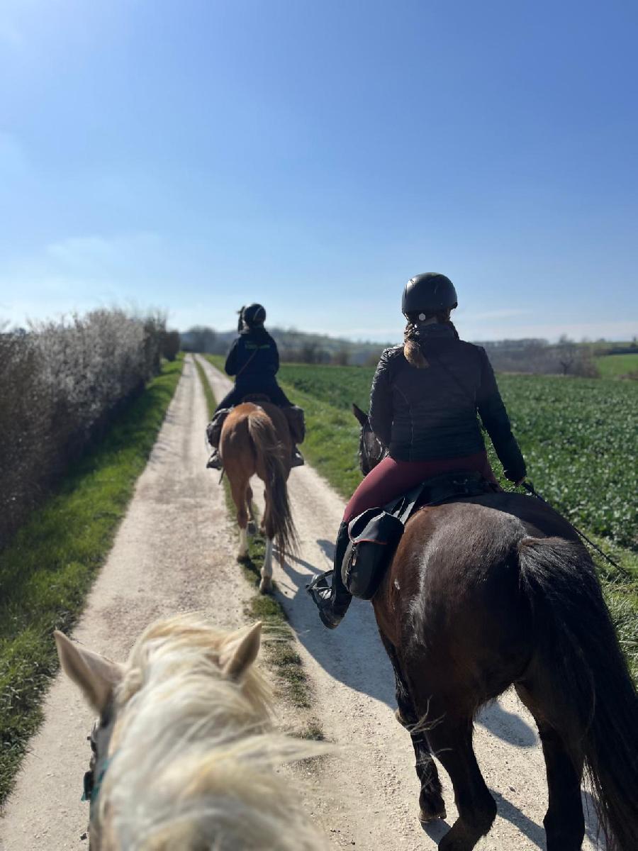 sejour Gers Gascogne photo 2