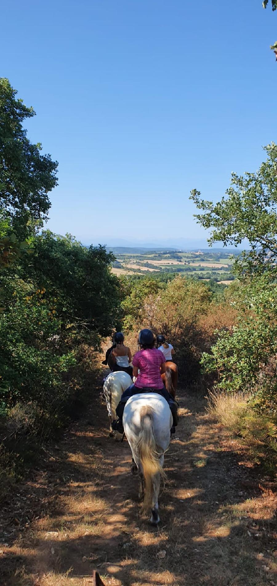 sejour Haute-Garonne  photo 2