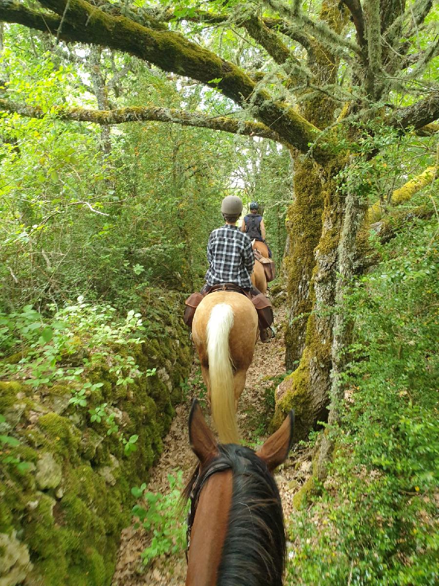sejour Tarn-et-Garonne Rouergue photo 3