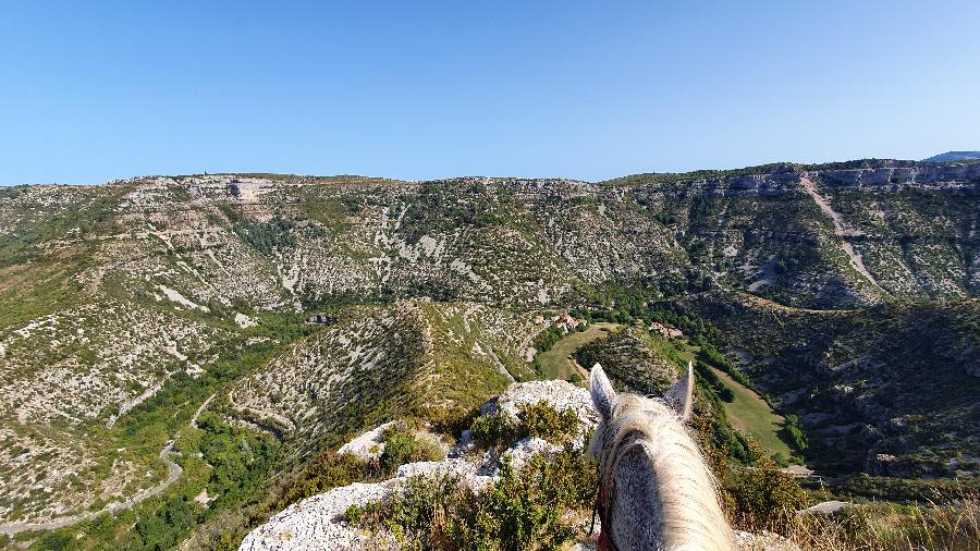 Séjour équestre Gard Parc National des Cévennes
