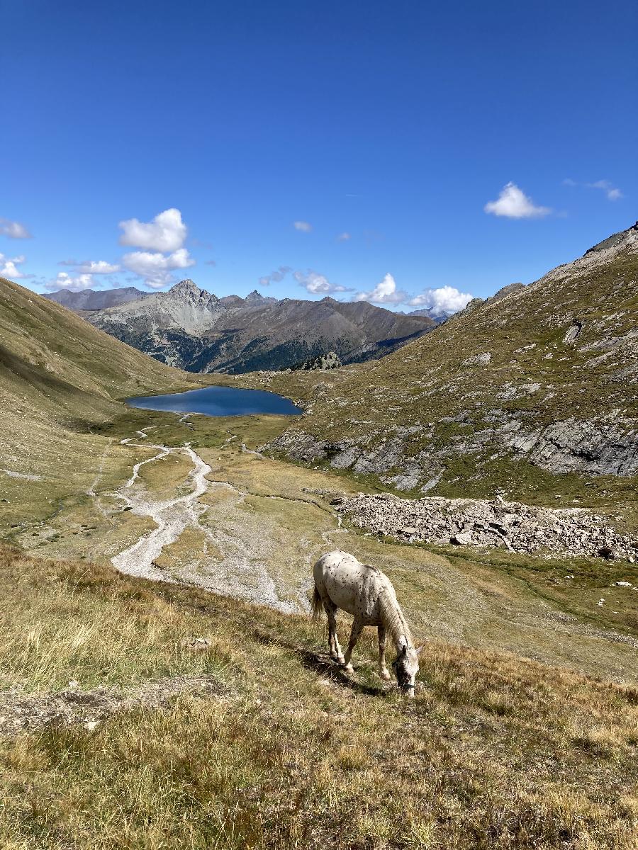 sejour Hautes-Alpes  photo 4