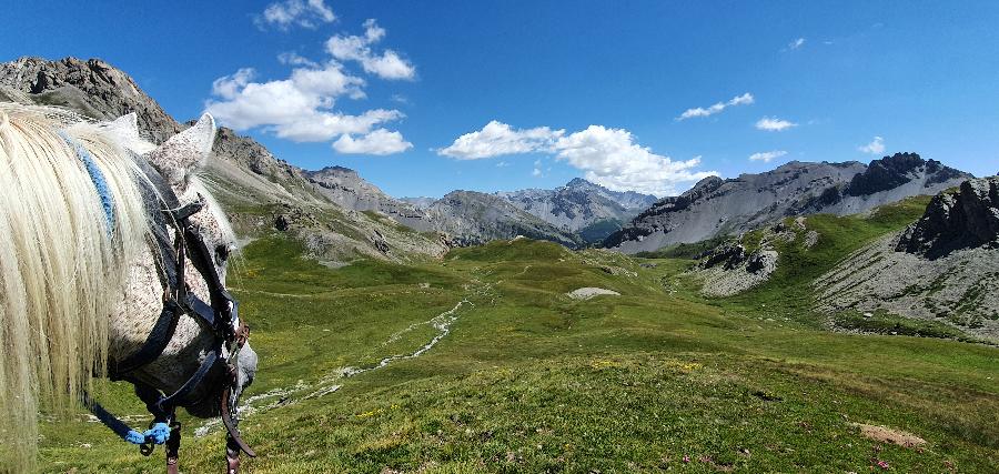 Séjour équestre Hautes-Alpes 