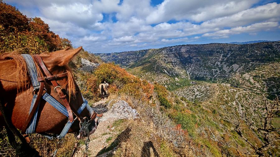 sejour Lozre Parc National des Cvennes photo 5