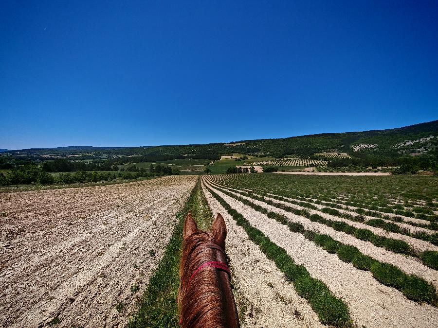 sejour Vaucluse Luberon photo 5