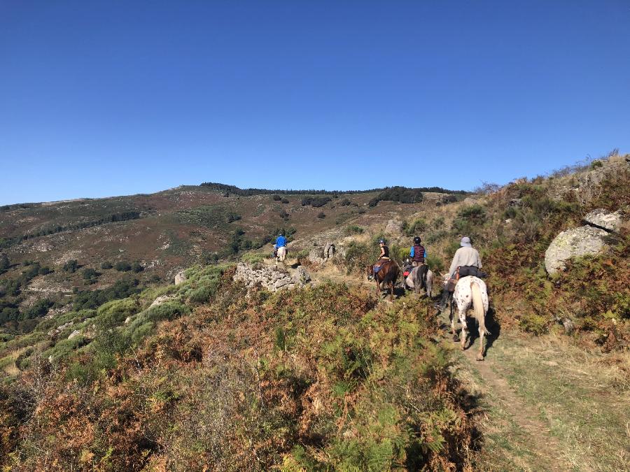 sejour Ardche Parc National des Cvennes photo 4