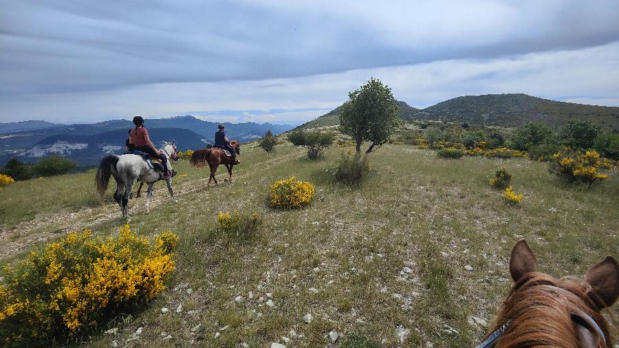 sejour Alpes de Haute-Provence 