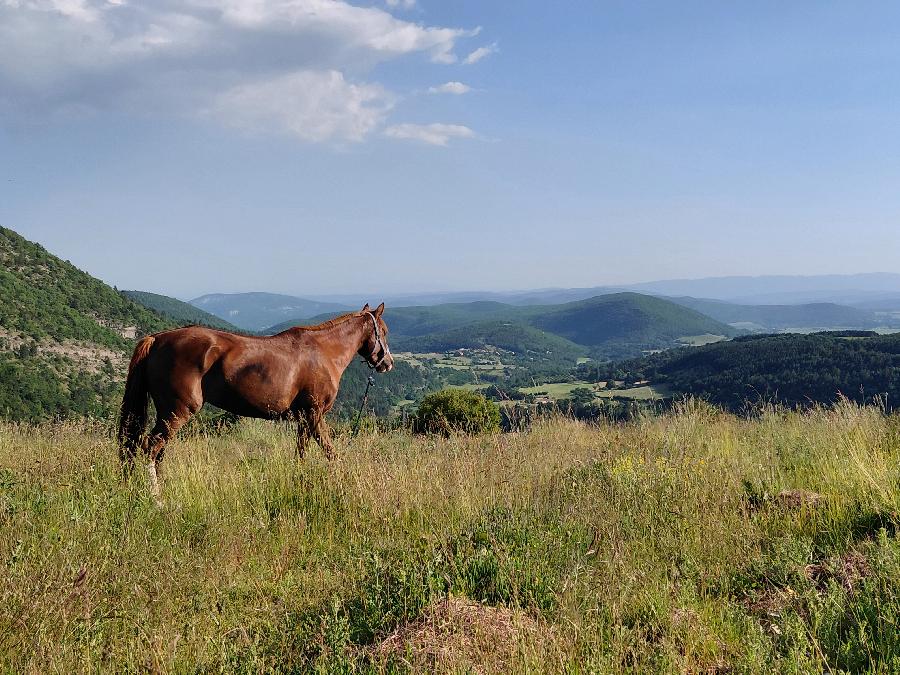 sejour Alpes de Haute-Provence  photo 2