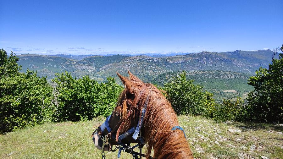 sejour Alpes de Haute-Provence  photo 4