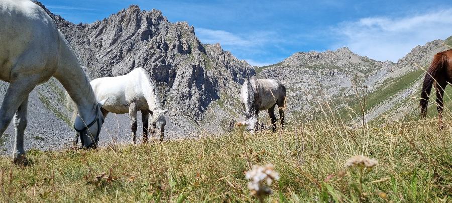 sejour Hautes-Alpes 