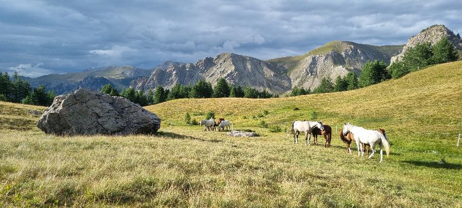 sejour Hautes-Alpes  photo 6