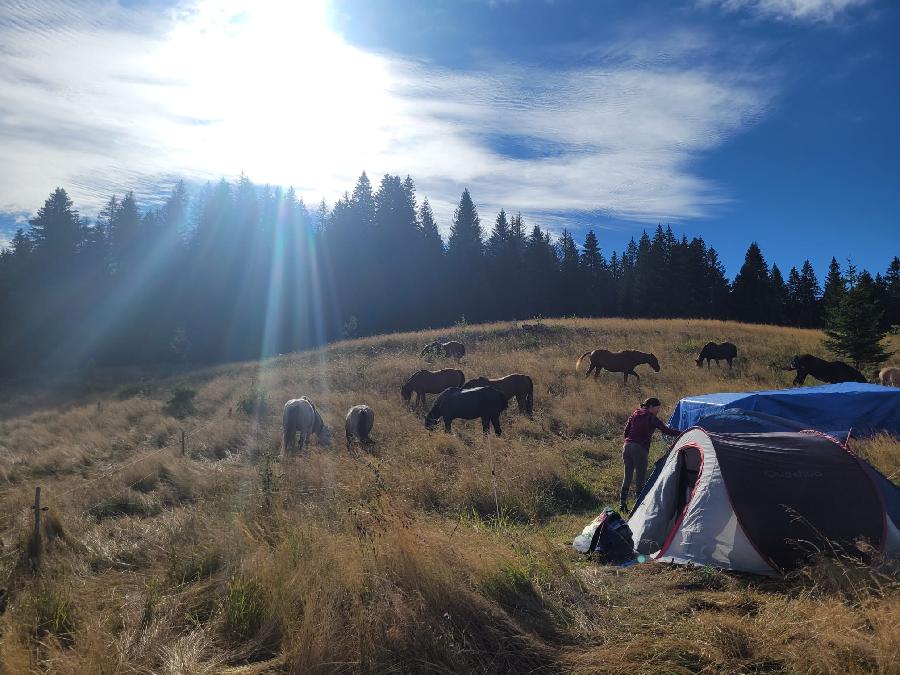 sejour Jura PNR du Haut-Jura photo 3