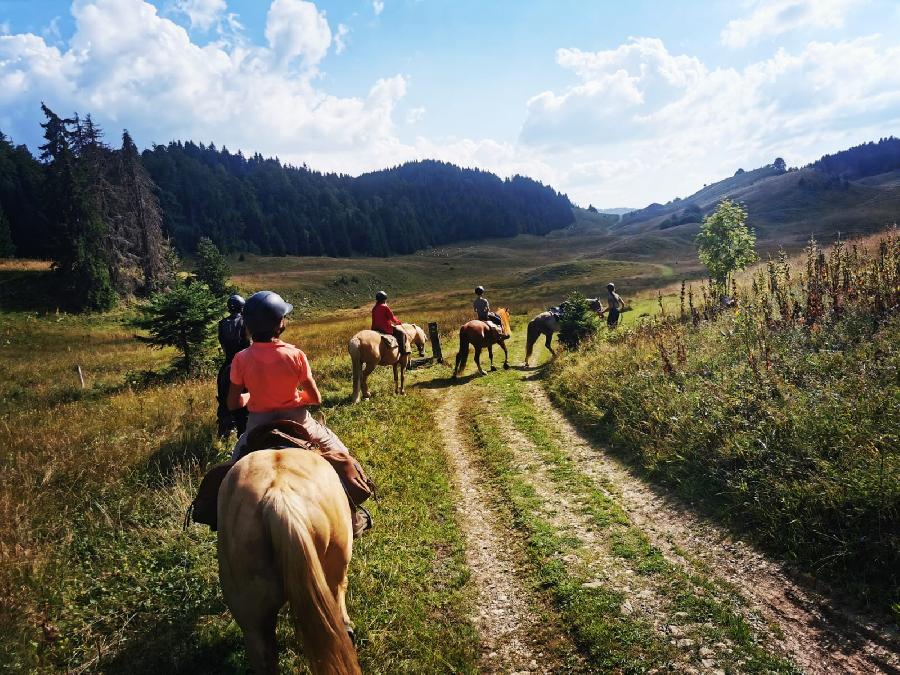 sejour Jura PNR du Haut-Jura photo 5