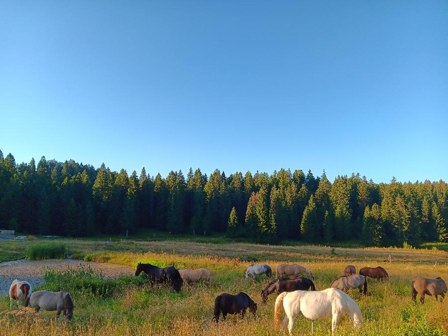 sejour Jura PNR du Haut-Jura