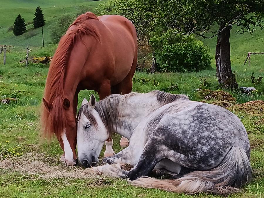 sejour Jura PNR du Haut-Jura