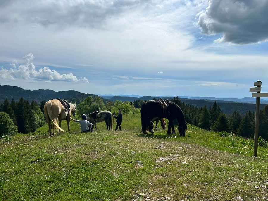 sejour Jura PNR du Haut-Jura photo 5