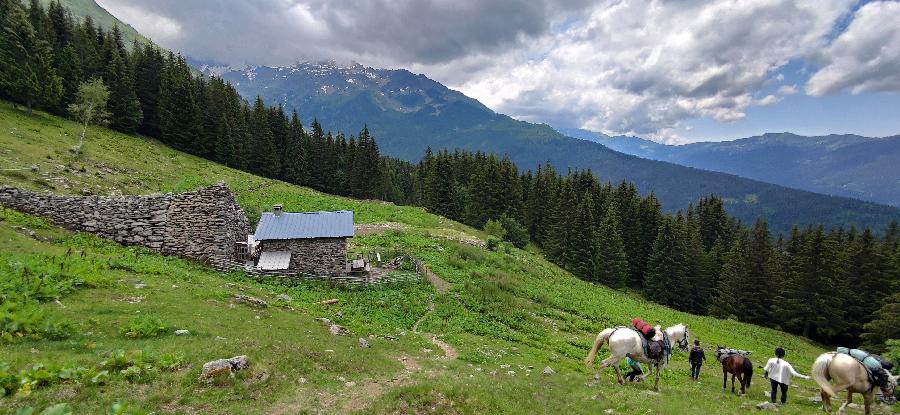 Sjour questre Isre Valle du Haut Brda