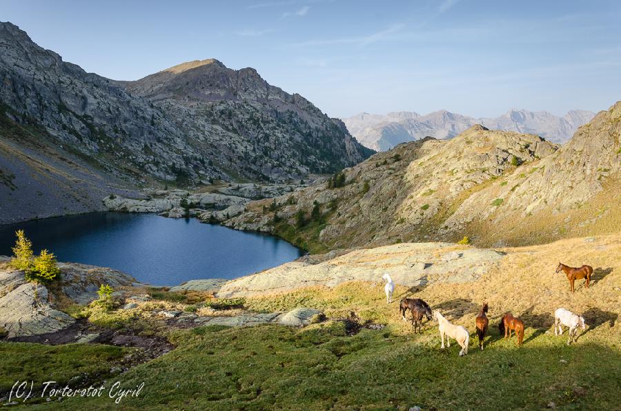 Sjour questre Alpes de Haute-Provence  photo 4