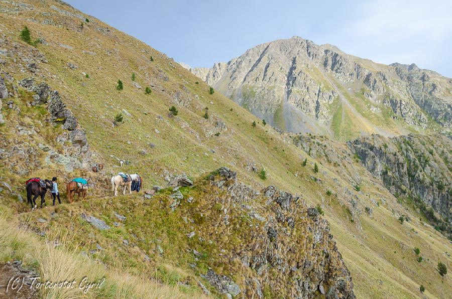 Sjour questre Alpes de Haute-Provence  photo 3