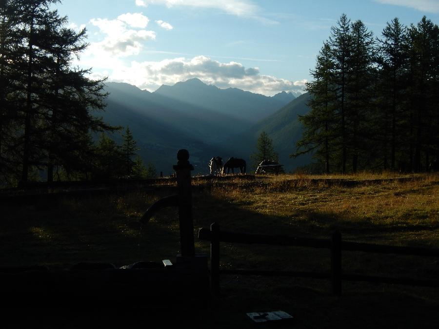 Séjour équestre Hautes-Alpes  photo 5