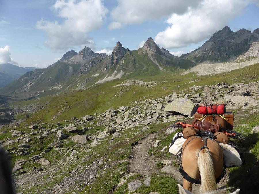 Sjour questre Hautes-Alpes 