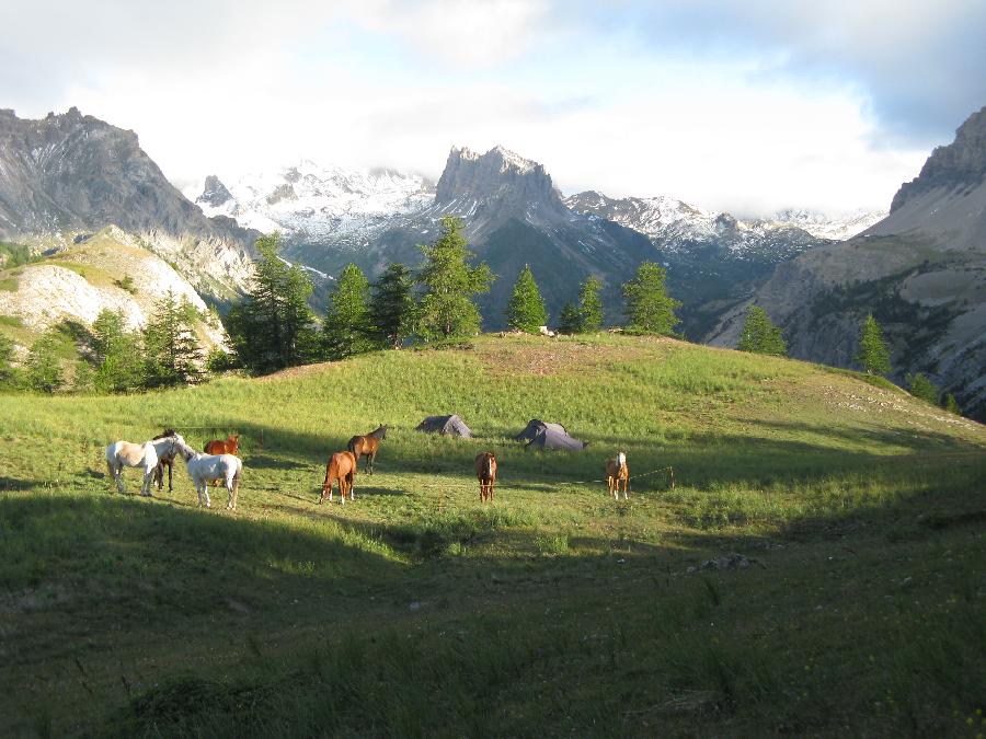 Sjour questre Hautes-Alpes  photo 3