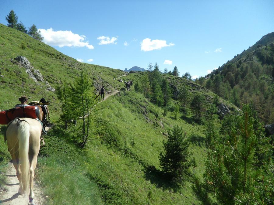 Sjour questre Hautes-Alpes  photo 4