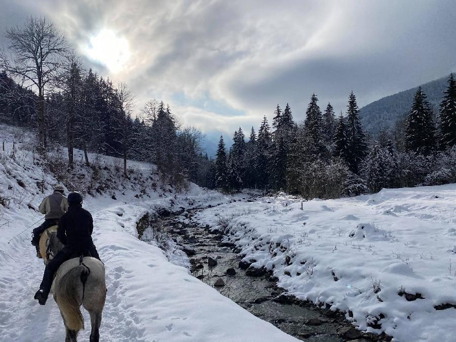 Randonne questre Isre Valle du Haut Brda