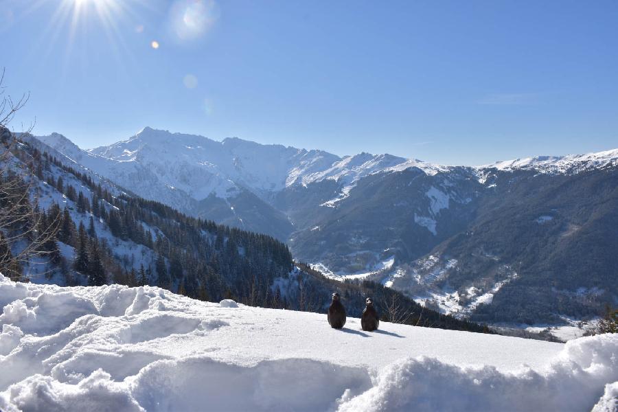 Randonne questre Isre Valle du Haut Brda photo 4