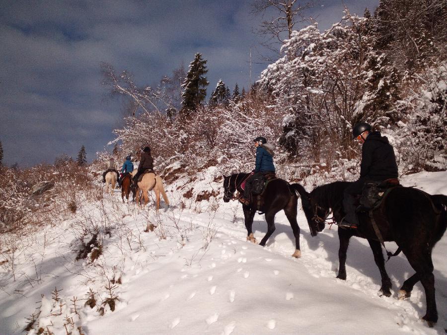 Randonne questre Isre Valle du Haut Brda photo 6