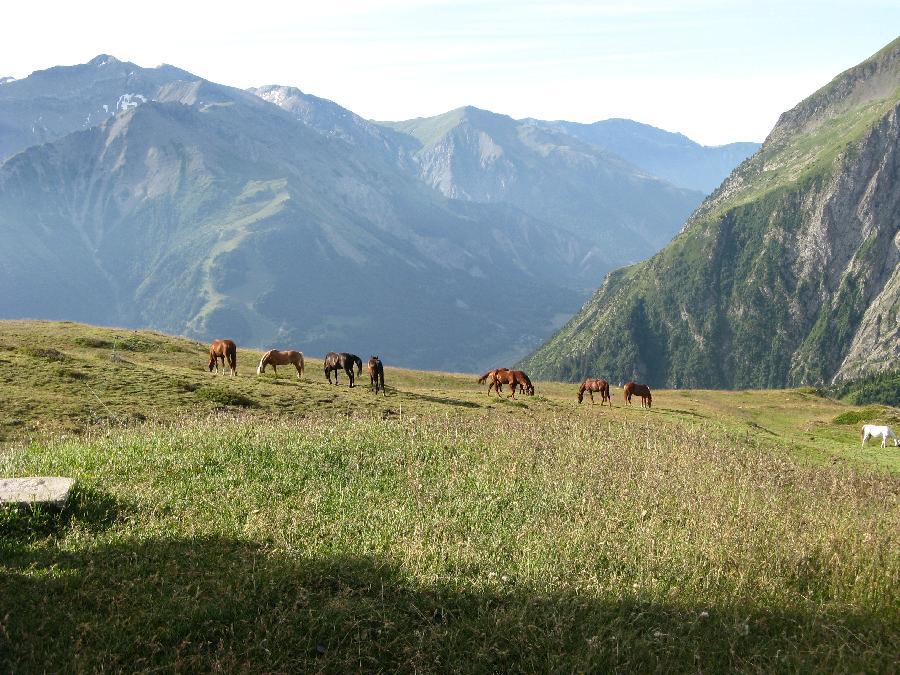 Randonne questre Isre Valle du Haut Brda photo 5